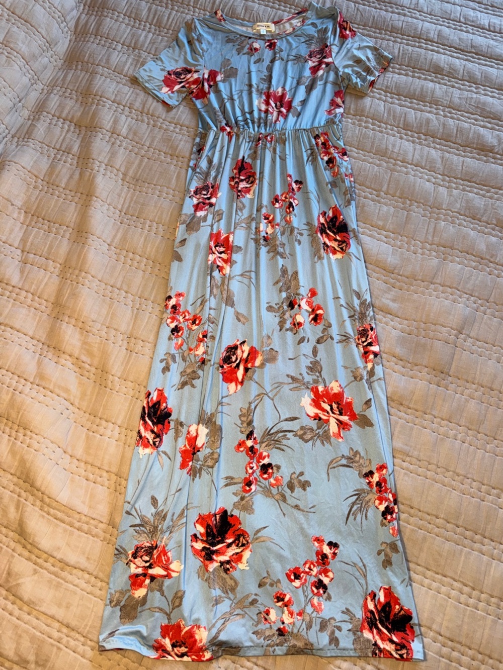 Light Blue Floral Maxi Dress with Pink Rose Print